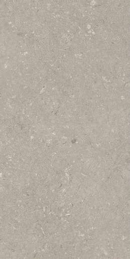 Taupe 60x120 (600x1200)