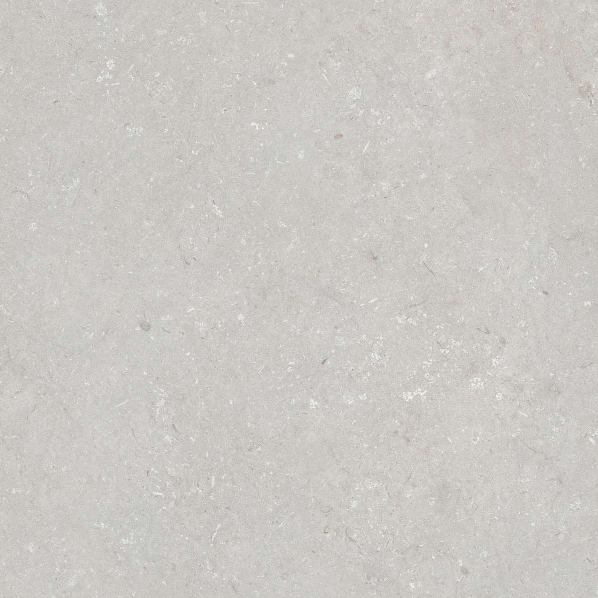 Bianco 120x120 (1200x1200)