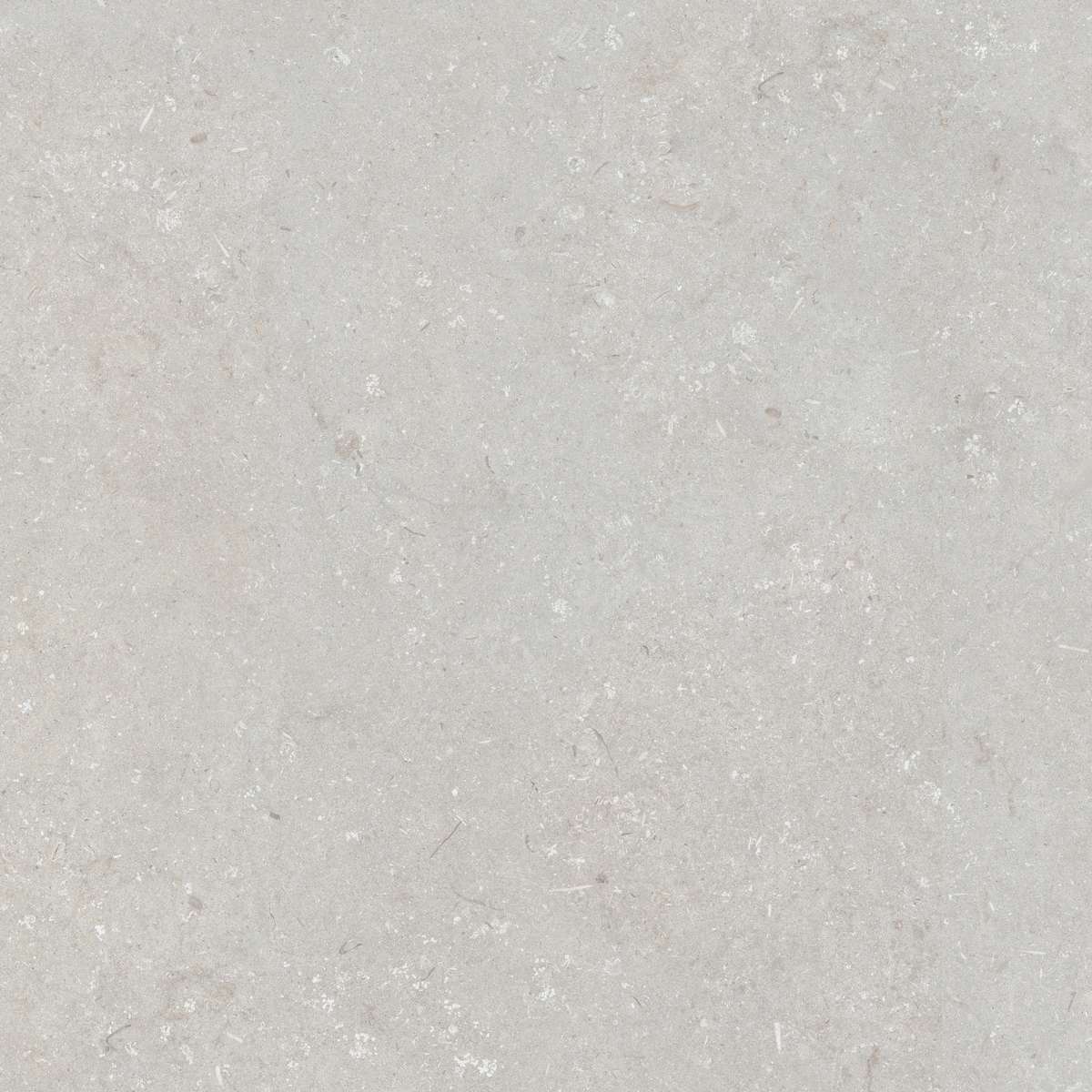 Bianco 120x120 (1200x1200)