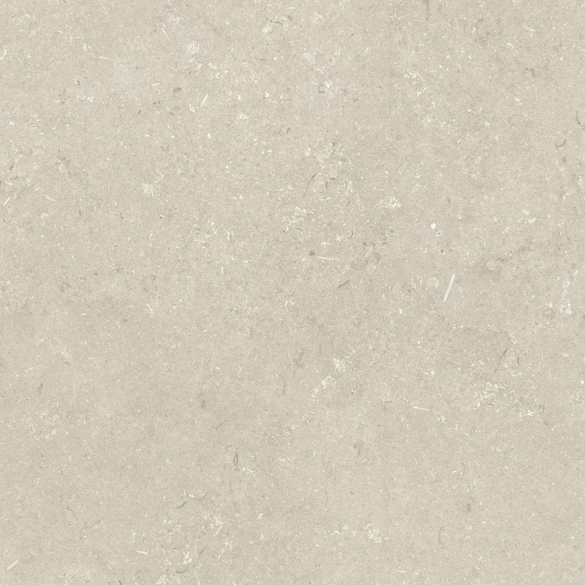Beige 120x120 (1200x1200)