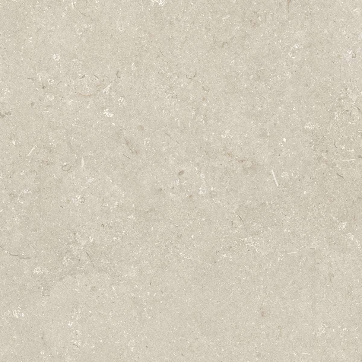 Beige 120x120 (1200x1200)