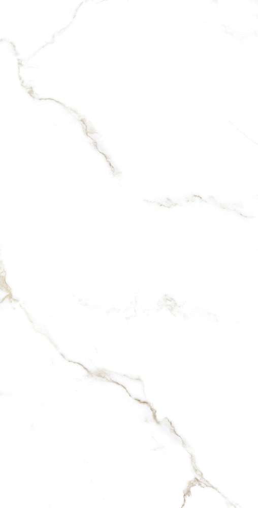 Glossy 60x120 (600x1200)