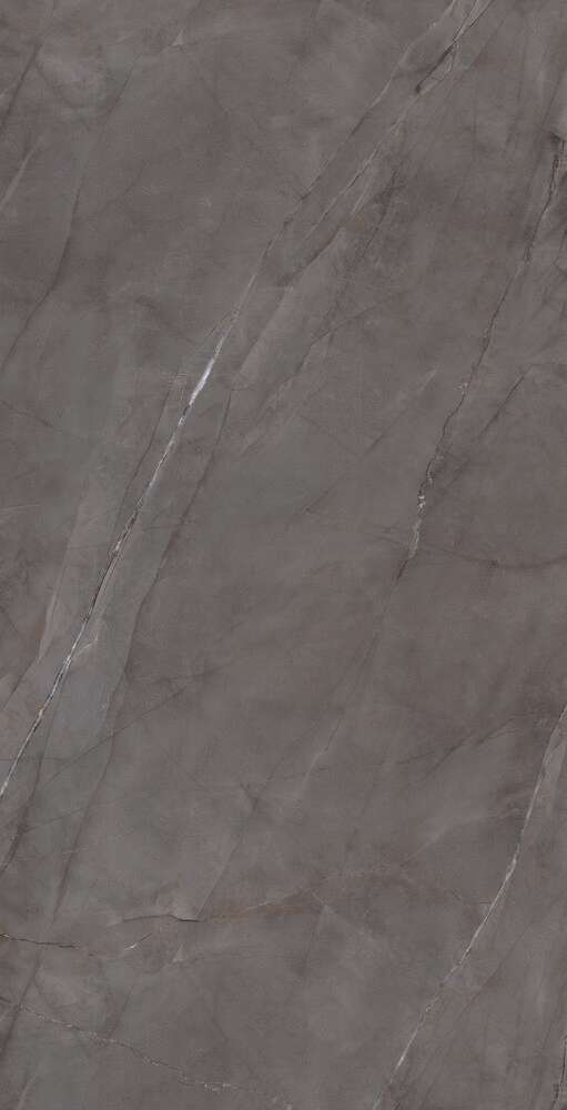 Grey Glossy 60x120 (600x1200)