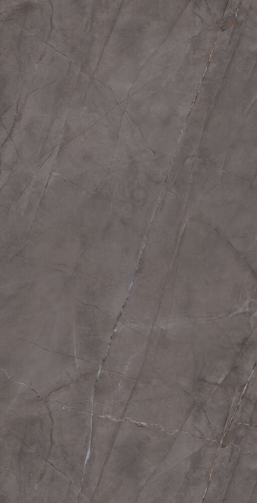 Grey Glossy 60x120 (600x1200)