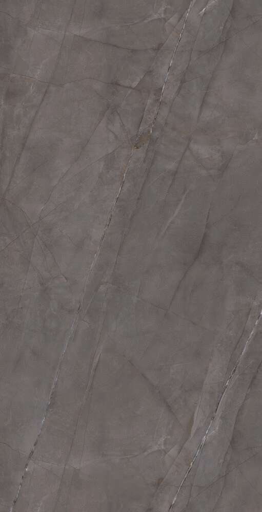 Grey Glossy 60x120 (600x1200)