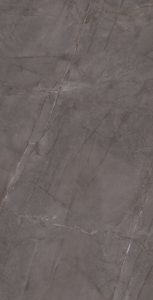 Grey Glossy 60x120 (600x1200)