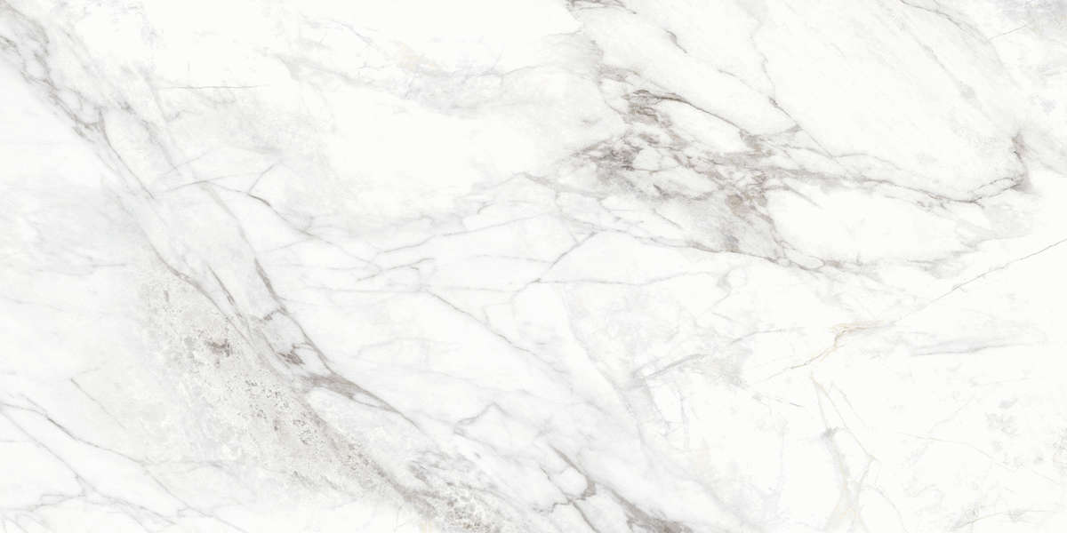 Carrara Матовый 60x120 (1200x600)