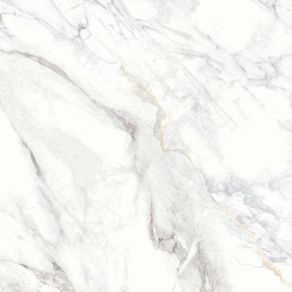 Carrara Матовый 60x60 (600x600)