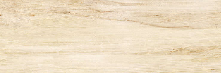 Wood (740x246)