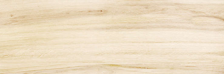 Wood (740x246)