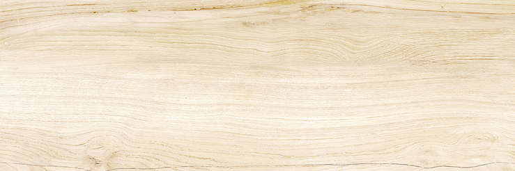 Wood (740x246)