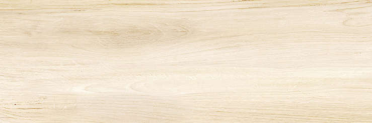 Wood (740x246)