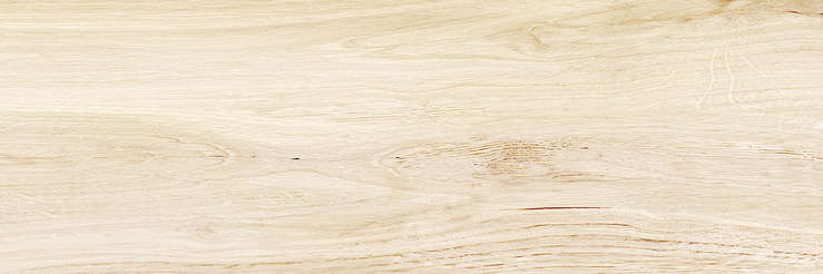 Wood (740x246)