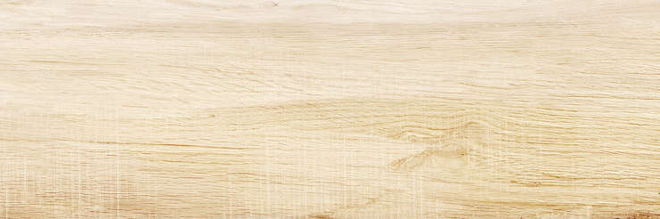 Wood (740x246)