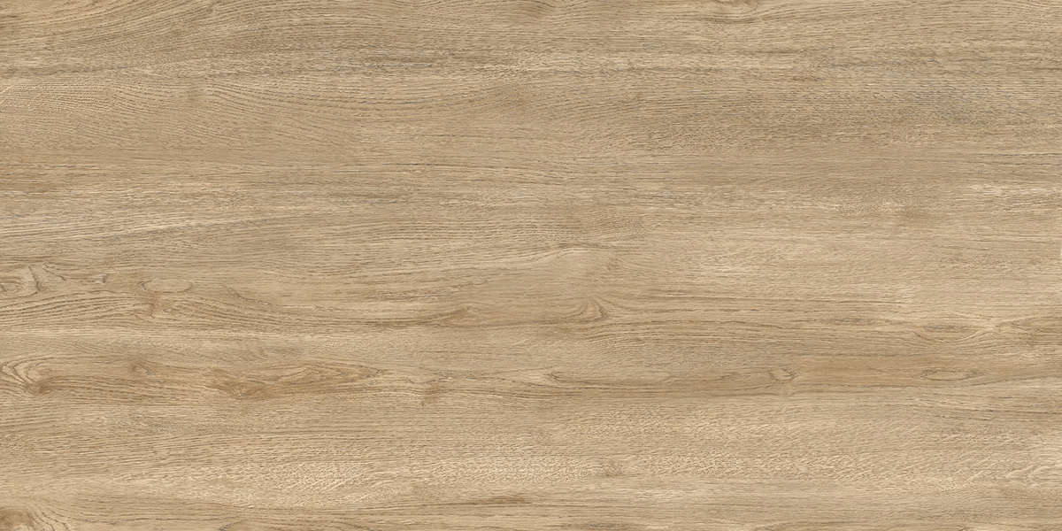 Light Матовый 60x120 (1200x600)