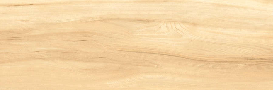 Elm 30x90 (900x300)