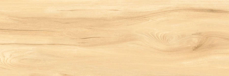 Elm 30x90 (900x300)