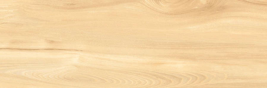 Elm 30x90 (900x300)