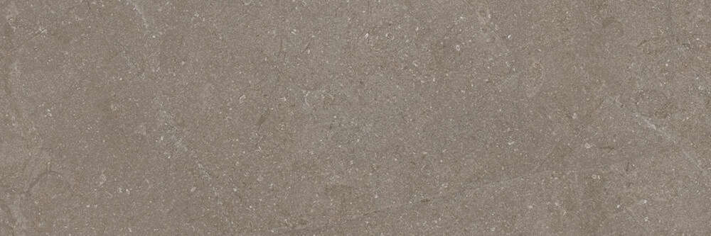 Taupe 40x120 (1200x400)