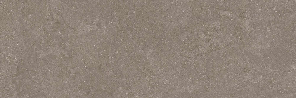 Taupe 40x120 (1200x400)