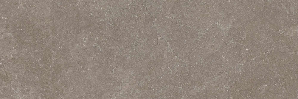 Taupe 40x120 (1200x400)