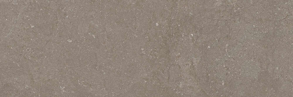 Taupe 40x120 (1200x400)