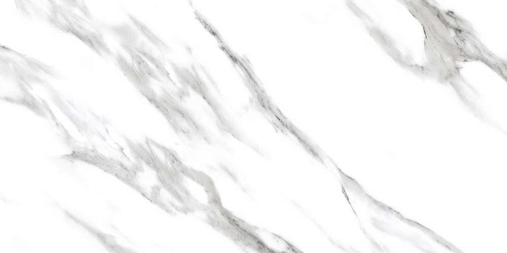 Arabescato White Glossy (1200x600)