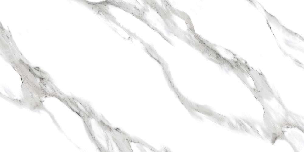 Arabescato White Glossy (1200x600)