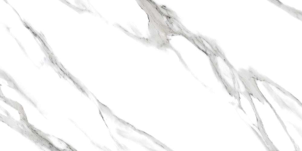 Arabescato White Glossy (1200x600)