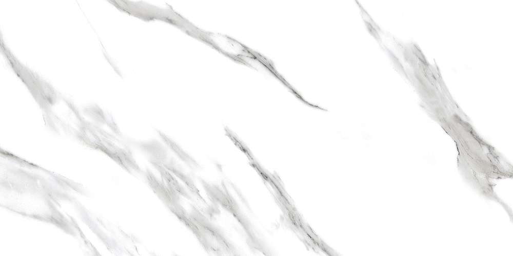 Arabescato White Glossy (1200x600)