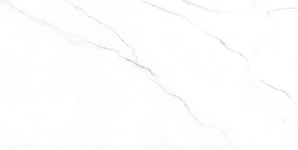 Carrara Bianco Matt (1200x600)