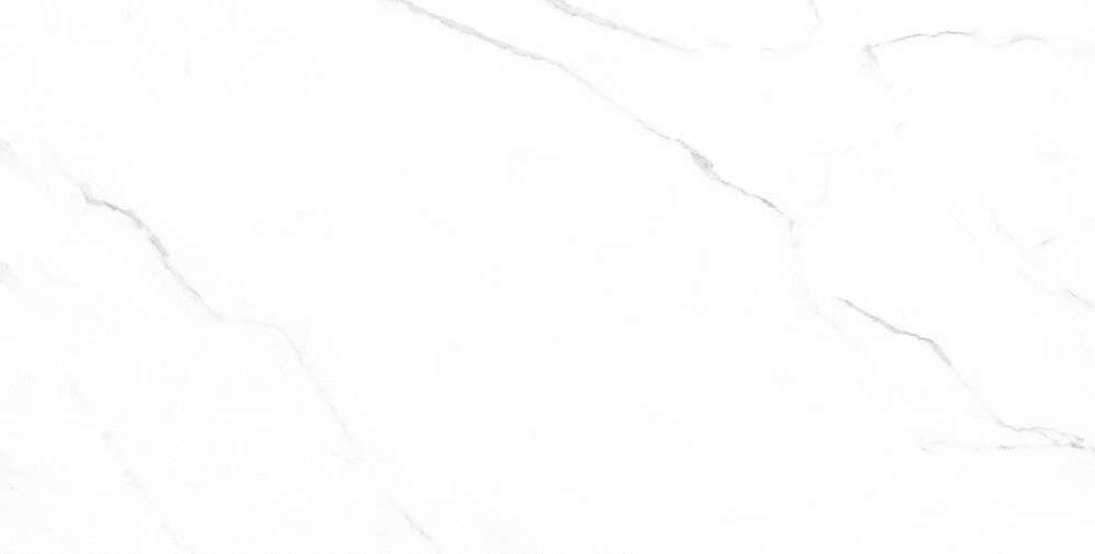 Carrara Bianco Matt (1200x600)