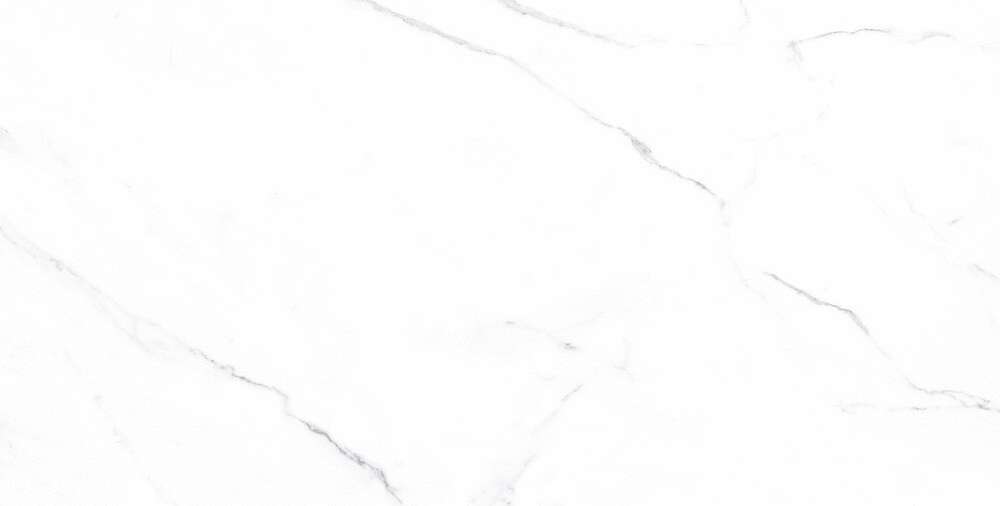 Carrara Bianco Matt (1200x600)