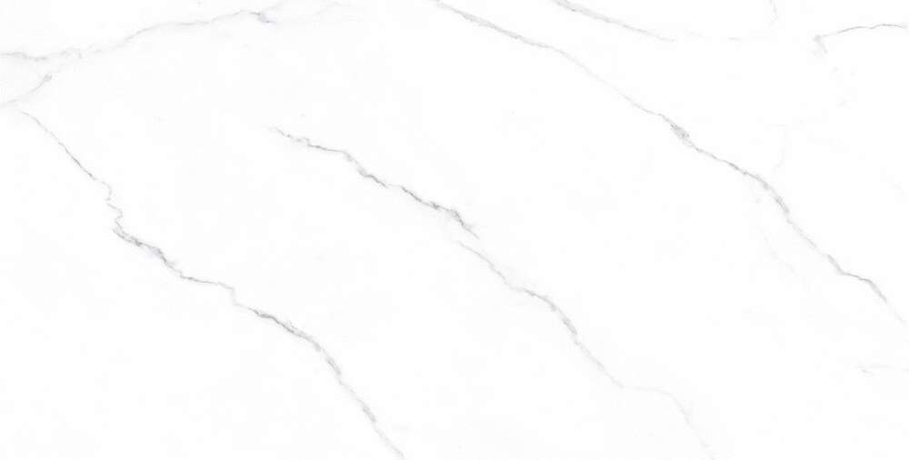 Carrara Bianco Matt (1200x600)