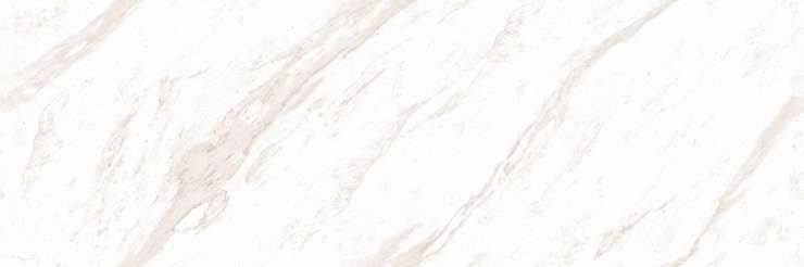 Эннфейс Slab Silver Silk Dg Matt 15 mm 80x240