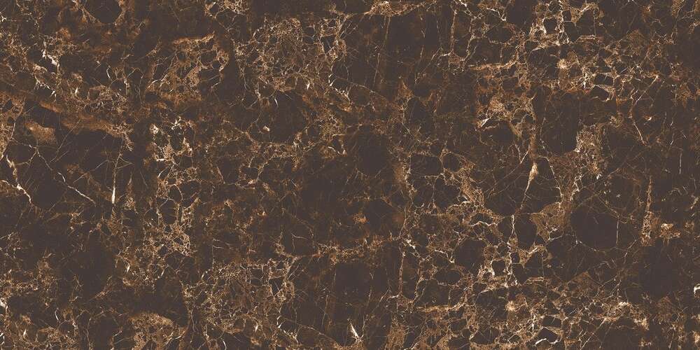 Emperador Brown High Glossy (1200x600)