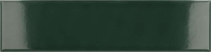 Эквип Costa Nova Laurel Green Glossy