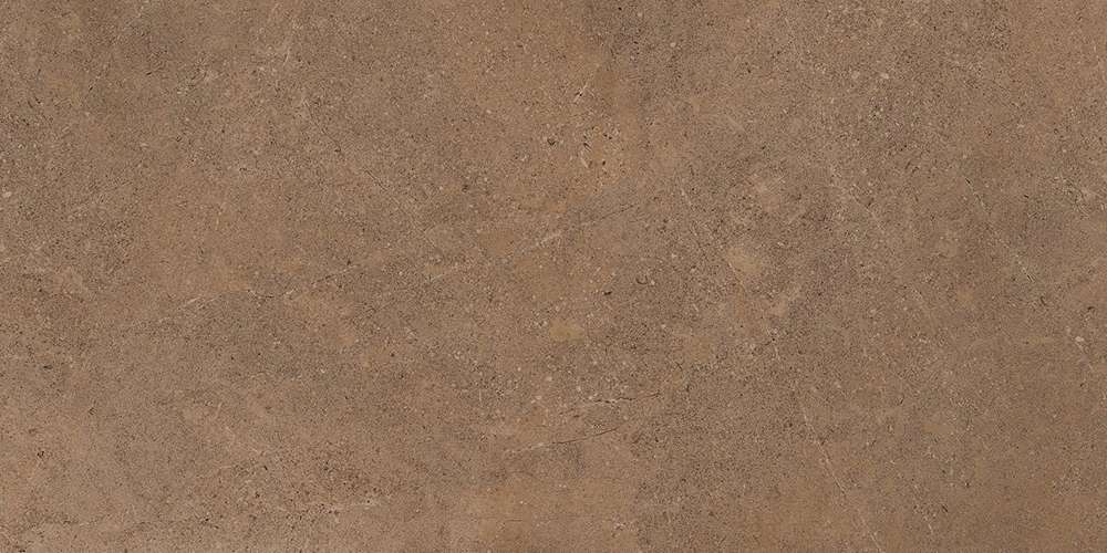 GO02 Dark Beige 120x60 Неполированный Рекст. (1200x600)