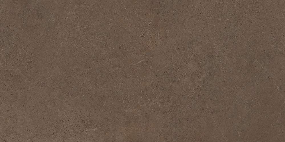 GO03 Brown Grey 120x60 Неполированный Рекст. (1200x600)