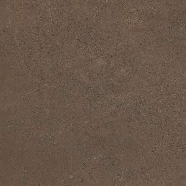 GO03 Brown Grey 60x60 Неполированный Рекст. (600x600)