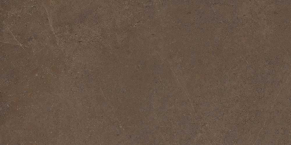 GO03 Brown Grey 120x60 Неполированный Рекст. (1200x600)