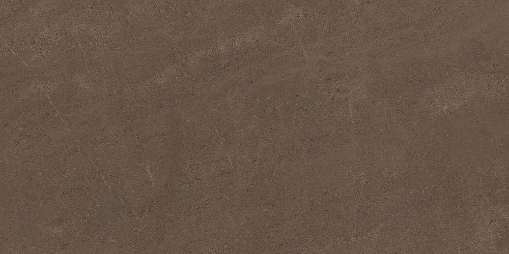 GO03 Brown Grey 120x60 Неполированный Рекст. (1200x600)