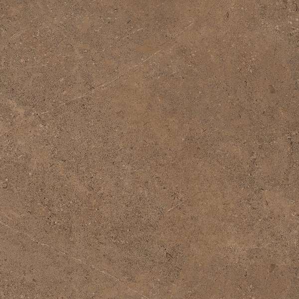 GO02 Dark Beige 60x60 Неполированный Рекст. (600x600)