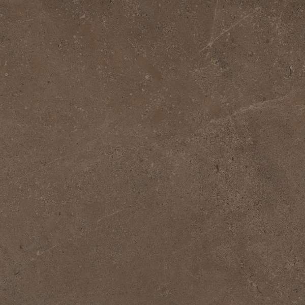 GO03 Brown Grey 60x60 Неполированный Рекст. (600x600)