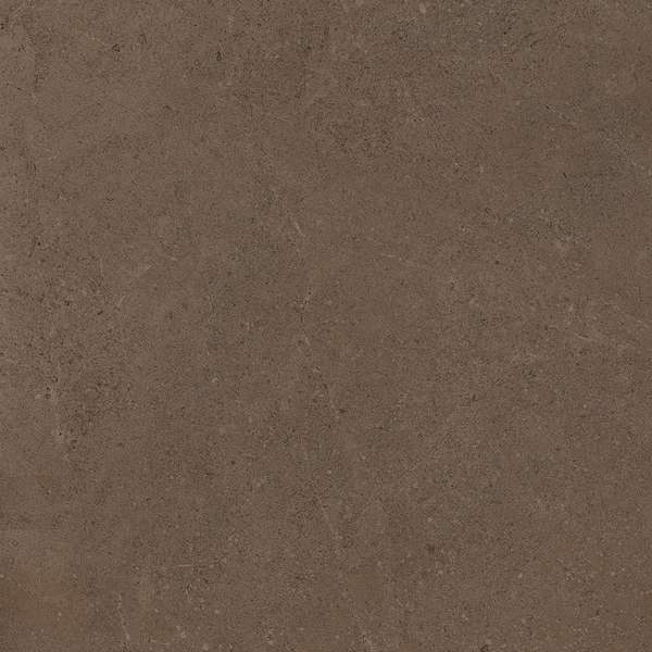 GO03 Brown Grey 60x60 Неполированный Рекст. (600x600)