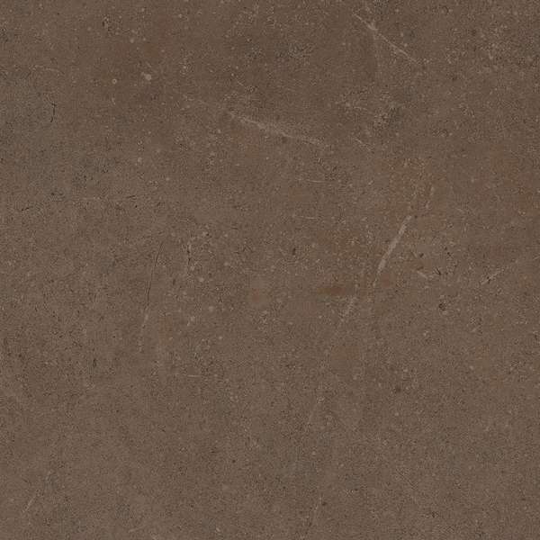 GO03 Brown Grey 60x60 Неполированный Рекст. (600x600)