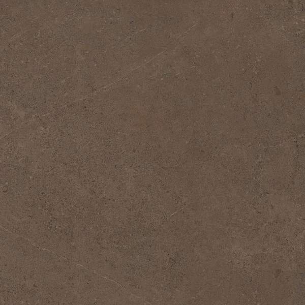 GO03 Brown Grey 60x60 Неполированный Рекст. (600x600)