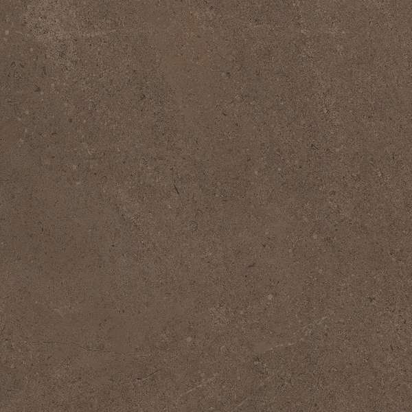 GO03 Brown Grey 60x60 Неполированный Рекст. (600x600)