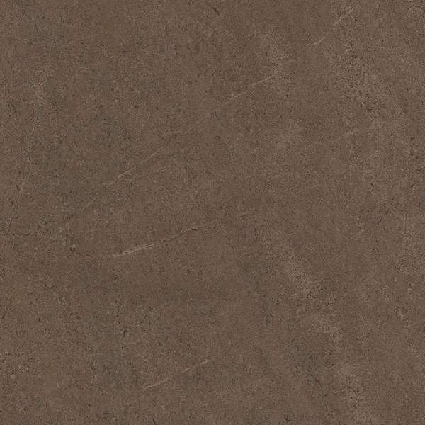 GO03 Brown Grey 60x60 Неполированный Рекст. (600x600)