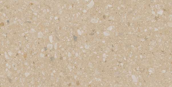 JP02 Light Beige 60.9x30.6 Неполированный (609x306)